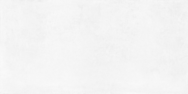 Betonica Blanco PRO Керамогранит светло-серый 60х120 матовый R11Soft