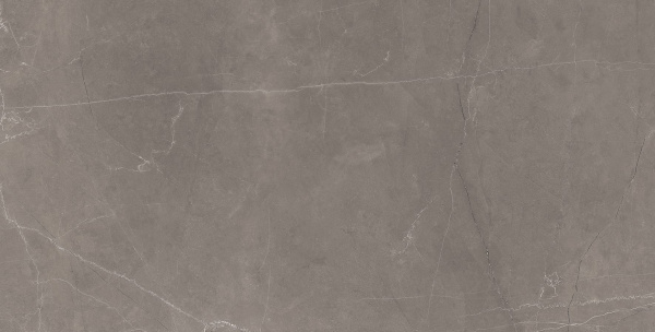 Splash Grey Керамогранит серый 60х120 Сатинированный Карвинг